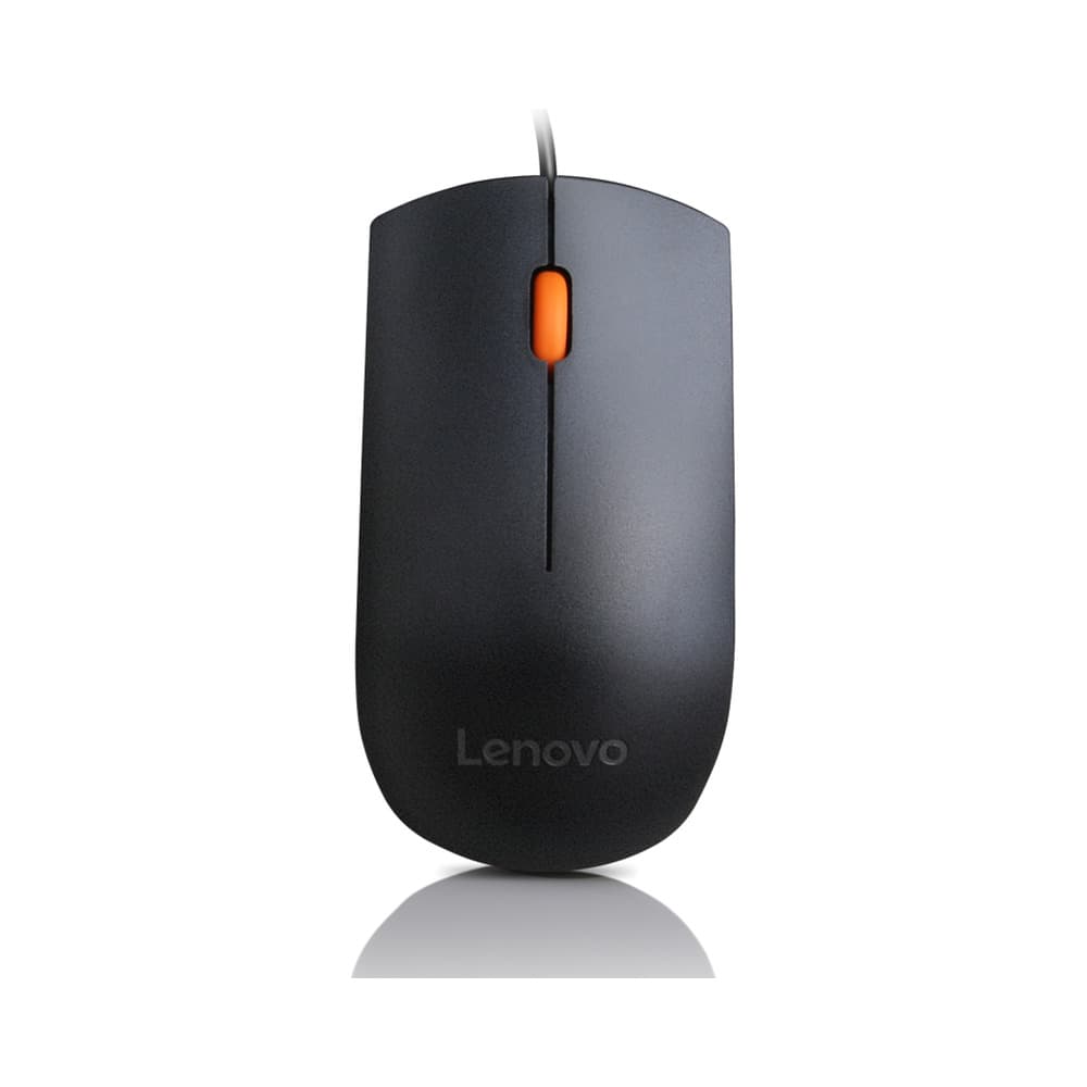 LENOVO ACCESORIOS Lenovo 300 USB Wired Mouse