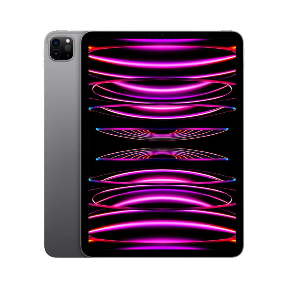APPLE IPAD iPad Pro de 11 pulgadas y 256 GB con Wi-Fi - Gris espacial