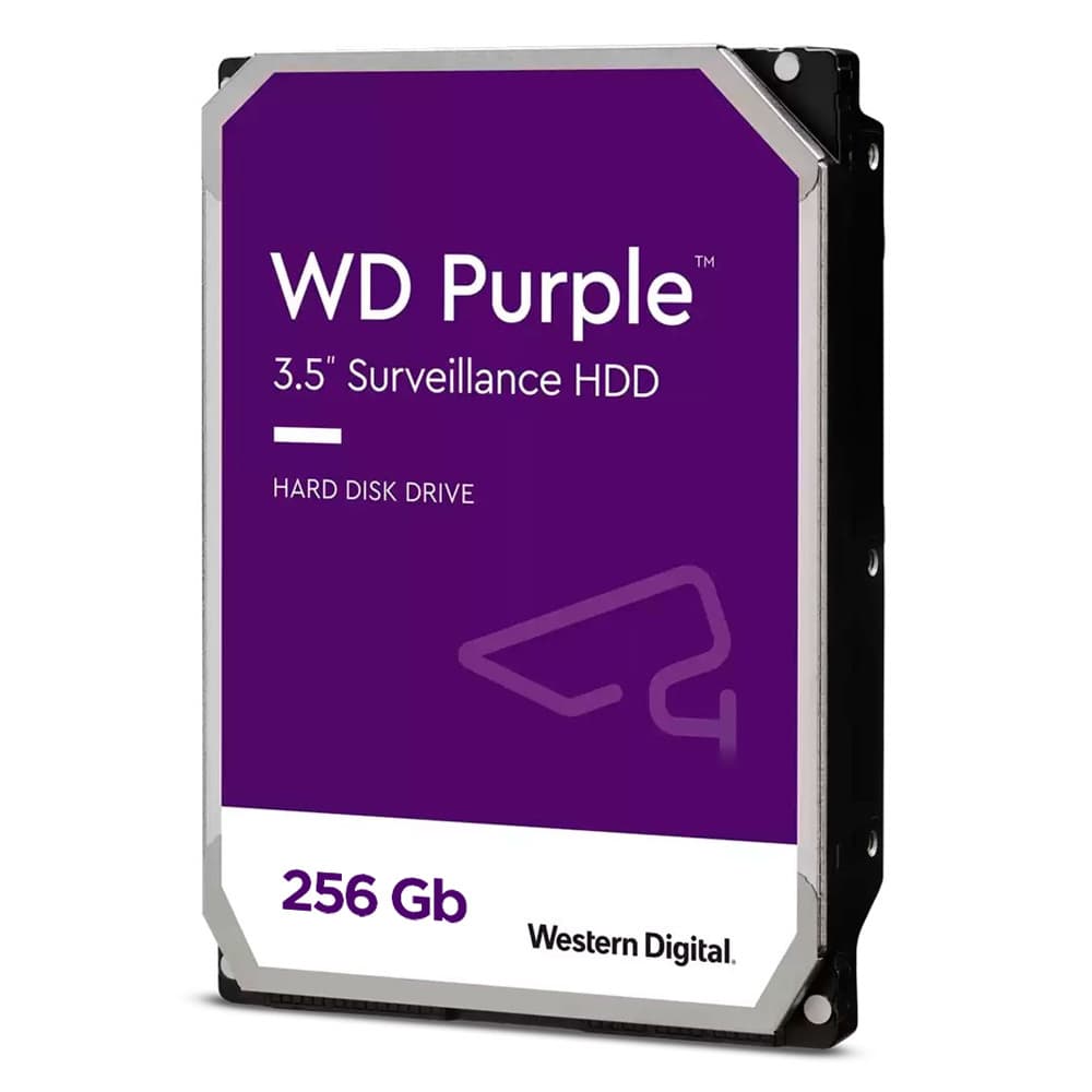 WESTERN DIGITAL Disco Duro WESTERN DIGITAL 256gb COLOR Purple